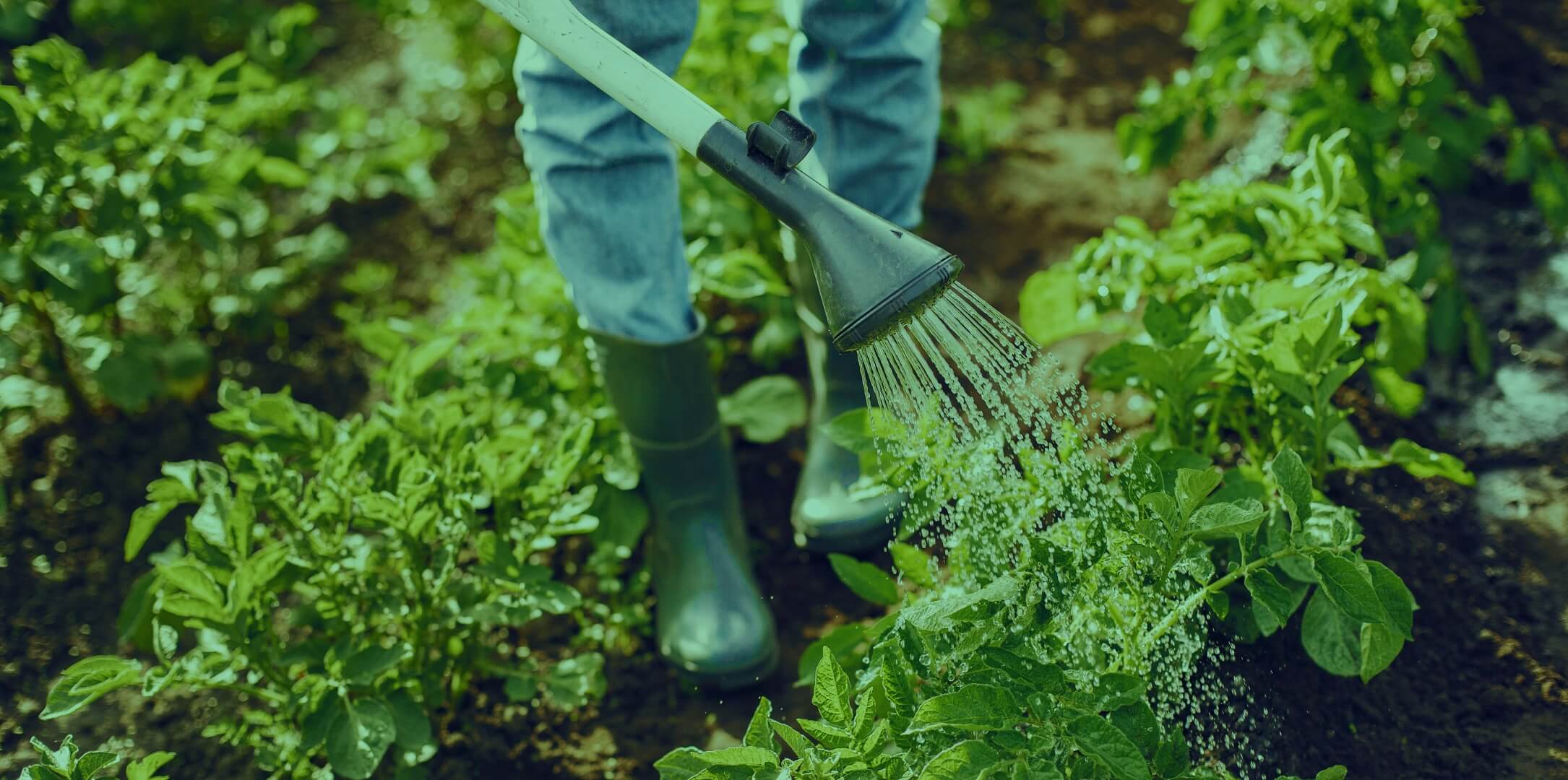 Agriculture Business